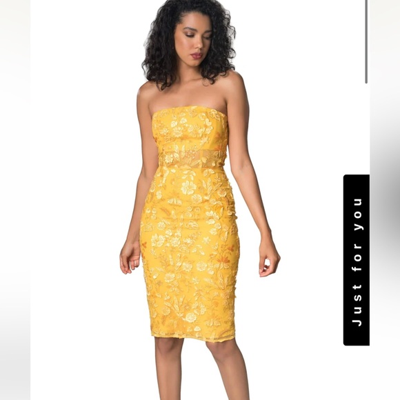 Dress The Revolution| NWT Romantic Sleeveless Mini Beaded Dress - Picture 1 of 8